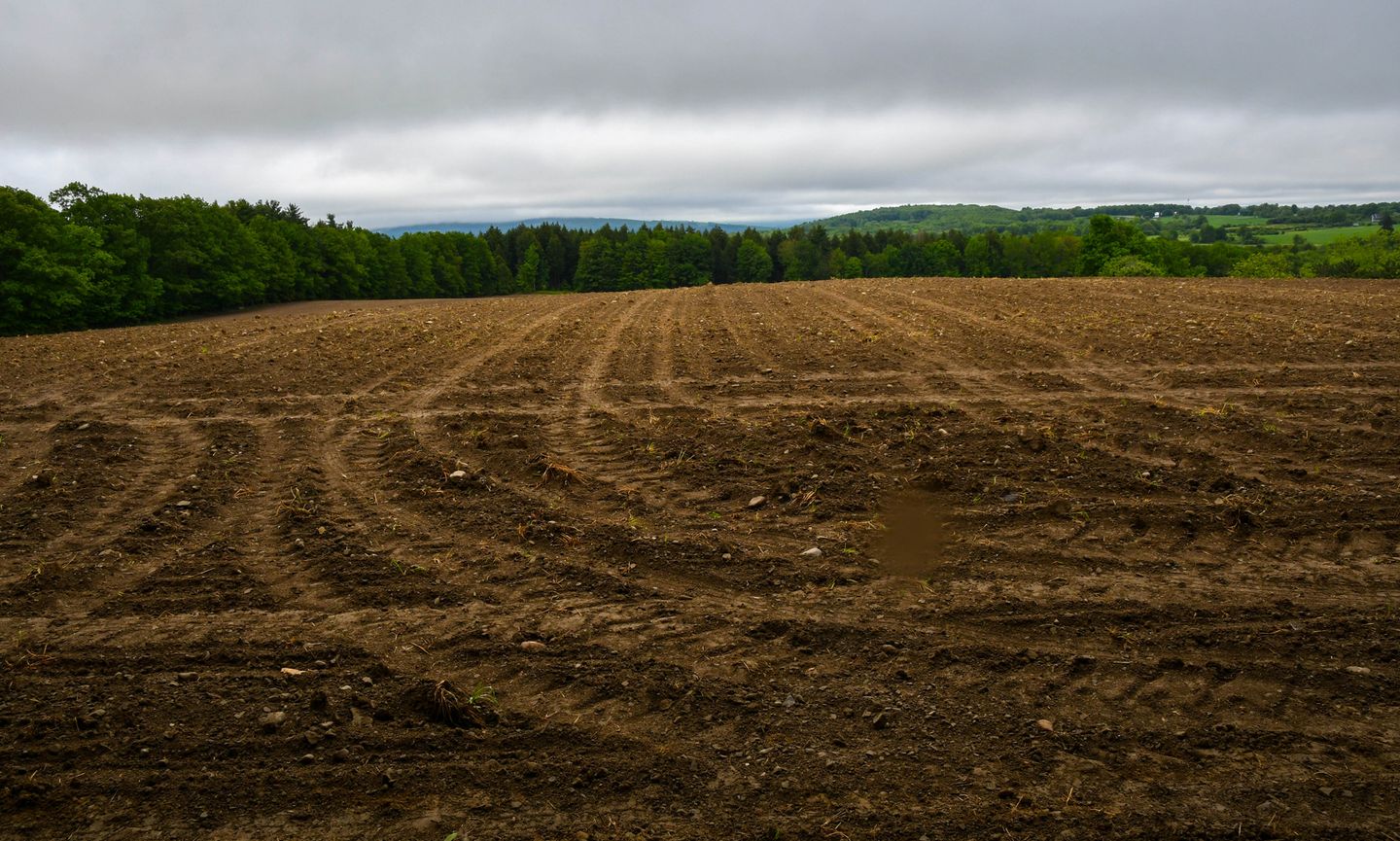 Professionally cleared and graded property ready for construction in Arkansas